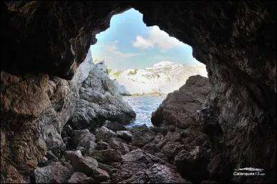 Comment s'appelle le père de Sunny et pourquoi est-il comme ça ?