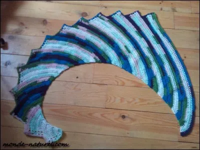 Pourquoi Fatale a-t-elle enlevé le prince Arctique ?