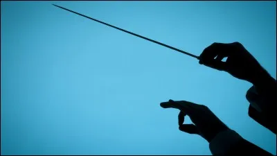 Né au XVIIIe siècle, je suis le père du romantisme, malgré ma surdité survenue aux alentours de mes trente ans. Impressionnant, non ? Je suis :