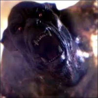 Qui va être gravement blessé lors d'un combat contre la meute d'alphas ?