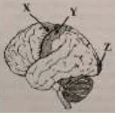 Après avoir observé le schéma, cochez ce qui est vrai.