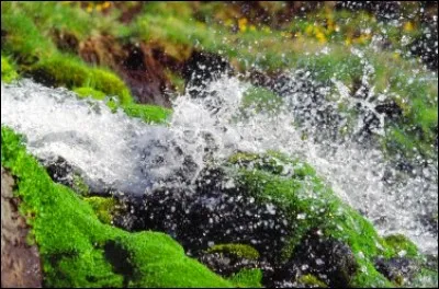 L'eau minérale est en fait une eau de source qui contient des minéraux et des oligo-éléments.