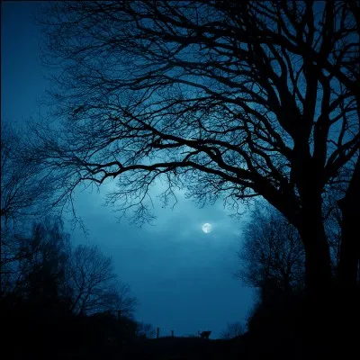 Quel est le don de Lune claire ?