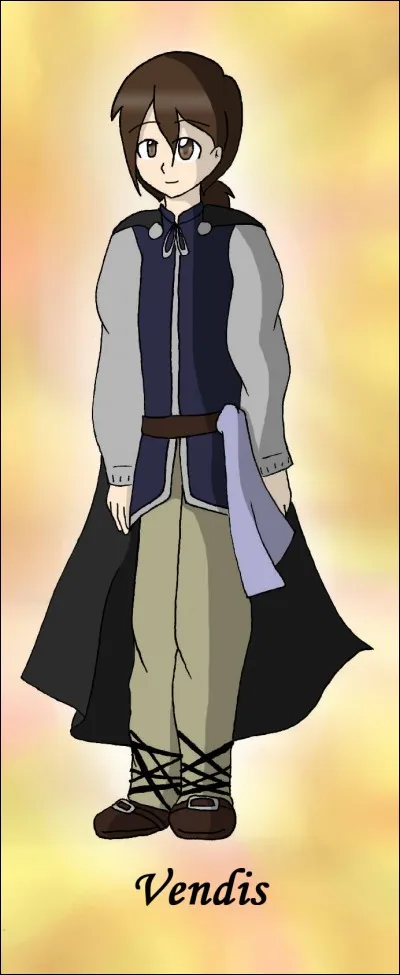 Qui est Vendis ?