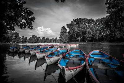 De l'eau pour les canettes.