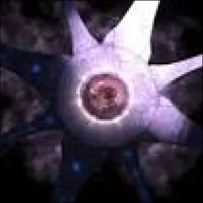 Comment s'appelle l'installation qui produit des Halos ?