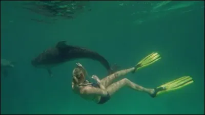 Instrument &agrave; vent ou &agrave; eau.