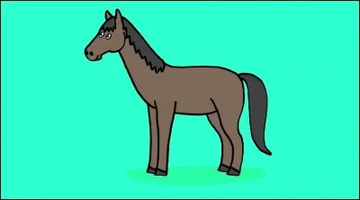 Un cheval a combien de membres ?