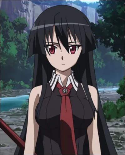 Quel est ce personnage de Akame Ga Kill' ?