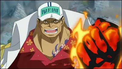 Qui est ce personnage de One Piece' ?