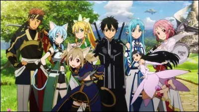 Quelle est l'option marquante de SAO ?