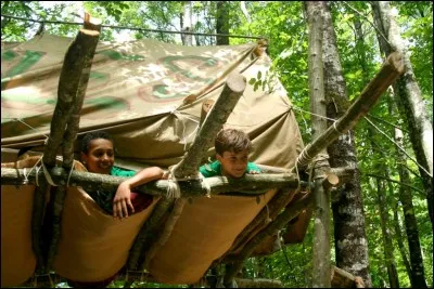 Quel est ton comportement dans un camp ?
