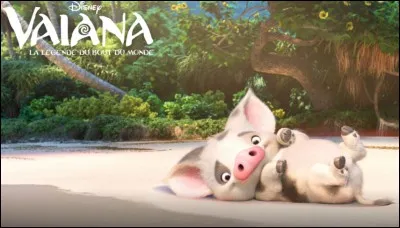 Quel est le nom du petit cochon qui est ami avec Vaiana ?