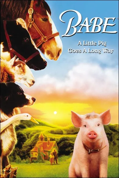 Que devient Babe, le porcelet du fermier Hoggatt ?