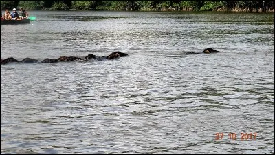 Trouvez la bonne formule, tirée du Cid, de Corneille !