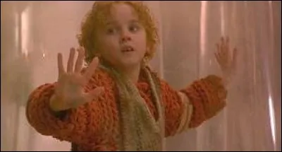 Quel personnage interprète-t-il dans "Le Petit Monde des Borrowers ?