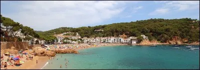 Lequel de ces pays n'a pas de fronti&egrave;re commune avec l'Espagne ?