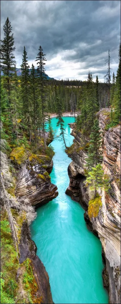 Ok cette image a quoi te fais t-elle penser ?