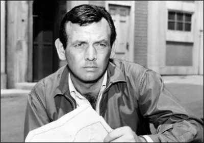 Dans une série des années 60, qui est Richard Kimble ?