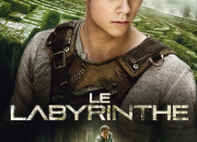 Quiz Le Labyrinthe (film 1) (partie 1)