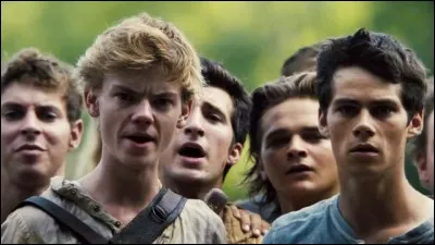 Ben étant banni, Alby se rend dans le labyrinthe avec Minho. Alby se fait piquer à son tour. Voyant qu'ils ne reviendront pas à temps, que décide de faire Thomas ?