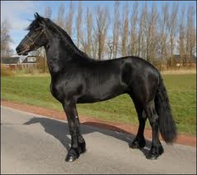 H - Un cheval "hongre" est destiné à la reproduction.