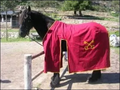 Le carapaçon est une housse d'ornement dont on revêt les chevaux montés ou attelés dans les cérémonies.