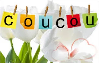 Coucou est le nom commun donné à la primevère officinale.