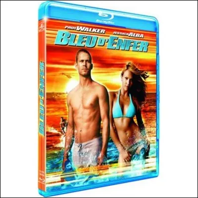 « Bleu d'enfer » est un film de John Stockwell sorti en 2005. Lors d'une plongée, quatre amis découvrent, juste à côté d'une épave, une carcasse d'avion. Quelle cargaison, objet de convoitise, y avait-il à bord ?