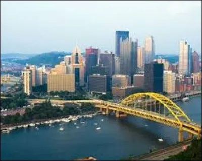 Petit état de 118 000 km², il se trouve sur la côte orientale du pays. Très peuplé, il a pour capitale Harrisburg et Philadelphie comme ville principale. Il s'agit ...