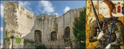 Capturée derrière cette tour appelée Beauregard à Compiègne, que l'on surnomme plus volontiers tour Jeanne d'Arc, par les Bourguignons le 23 mai 1430, elle fut vendue aux Anglais par Jean de Luxembourg, comte de Ligny pour la somme de dix mille livres. Condamnée à être brûlée vive en 1431 après un procès en hérésie conduit par l'évêque Pierre Cauchon, à quel diocèse ce dernier était-il rattaché ?