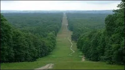 Les délimitations de mon département furent créées à la Révolution française, le 4 mars 1790 en application de la loi du 22 décembre 1789, principalement à partir de la province d'Île-de-France.
Pour son deuxième mariage, avec l'impératrice Marie-Louise, Napoléon Ier fit percer une allée dans la forêt derrière le Palais impérial de Compiègne. D'une distance de 4 km, comment se nomme-t-elle ?