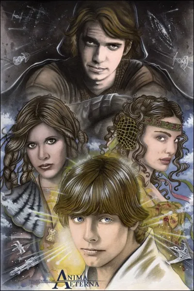 Donne le nom des 4 membres de la famille Skywalker.