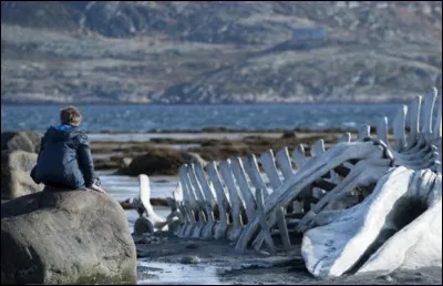Pour trouver la réponse, il vous faudra voir les choses en grand !