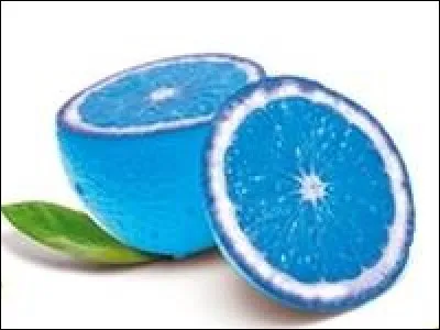 Qui utilise ce logo ?