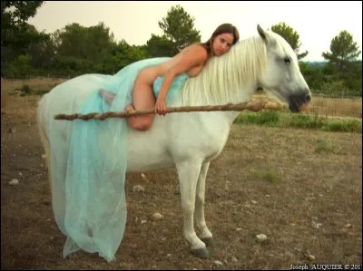 Ce grand malade d'empereur romain Caligula aurait forcé des esclaves à forniquer avec son cheval. Quel était son nom ?