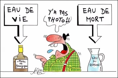 Laquelle de ces boissons ne nécessite pas d'eau ?