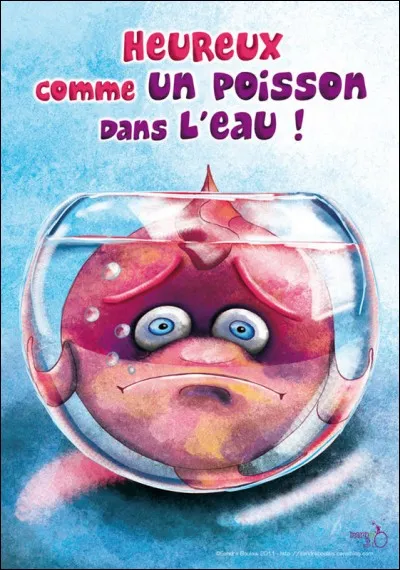 Quelle est la préparation de la truite, quand elle boit le bouillon, car elle est cuite à l'eau ?