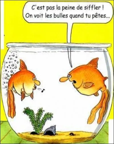 Lequel est un poisson d'eau douce ?