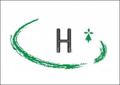 Ce logo correspond au club de :