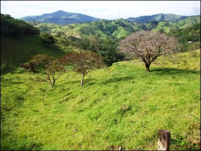 Abritant de superbes plages le long de l'océan Pacifique, une vaste forêt pluviale d'altitude et une cordillère volcanique, de quel pays le Guanacaste est-il une Province ?