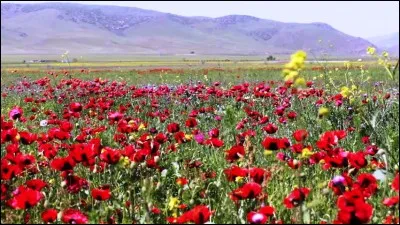 Quel pays exerce son autorité sur la République caucasienne du Daguestan, bordant la mer Caspienne ?