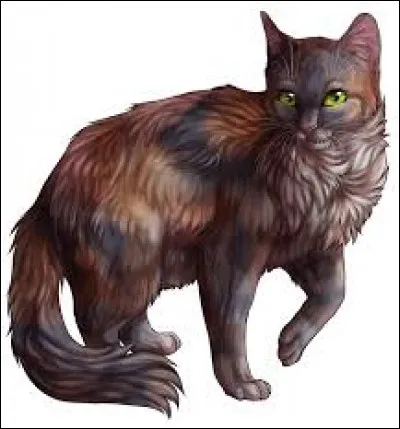 Qui est la sur de Griffe de Ronce ?