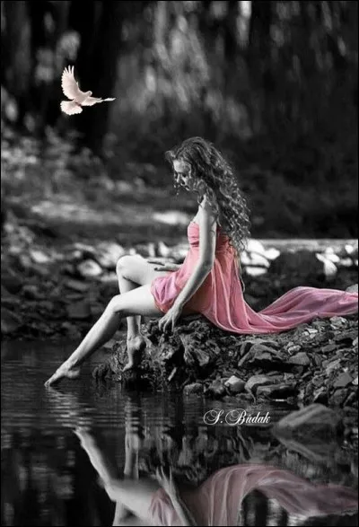 Qui chantait "Dans l'eau de la claire fontaine elle se baignait toute nue" ?