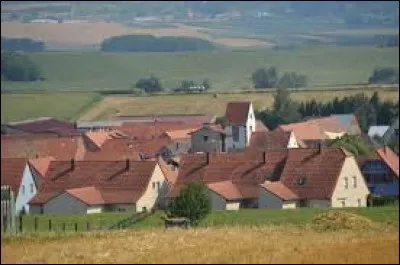 Notre balade prend fin aujourd'hui dans le Bas-Rhin, à Wolschheim. Nous somme en région ...