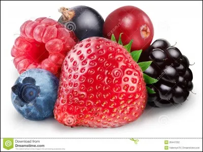 Si tu étais dans la nature sauvage et cruelle, que mangerais-tu ?