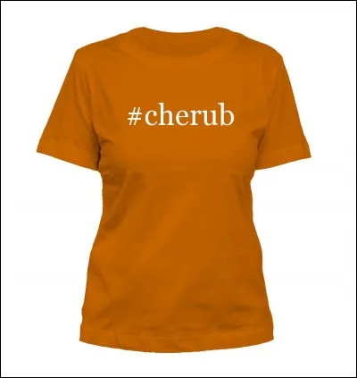 James a le T shirt :