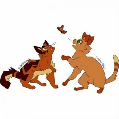 Quels chats ont eu un faible pour Poil d'Écureuil ?