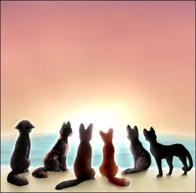 Avec qui Pelage d'Orage a-t-il eu des chatons ?