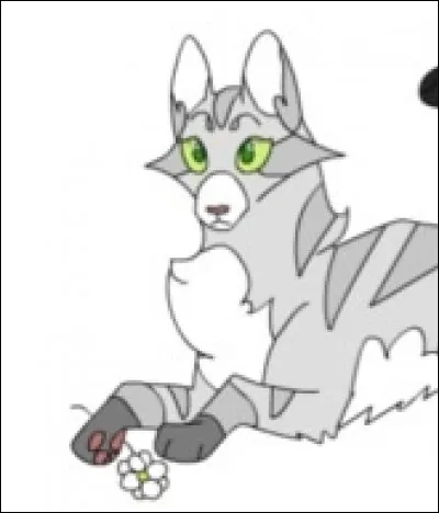 Vrai ou faux ?
Tornade Blanche a eu 2 compagnes.